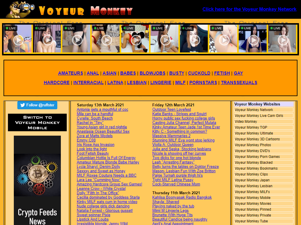 Voyeurmonkey